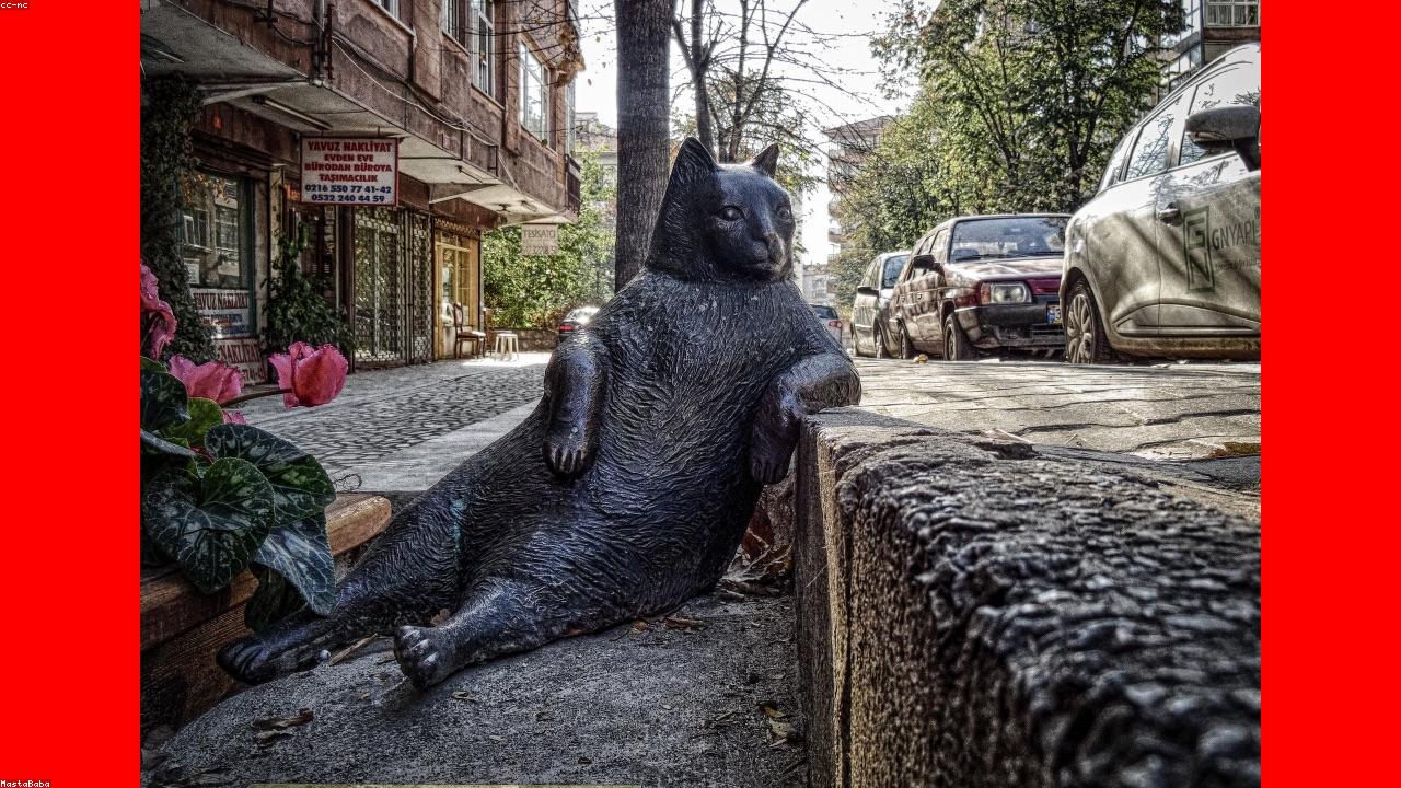 Mastering Flutter: A Comprehensive Guide for Developers